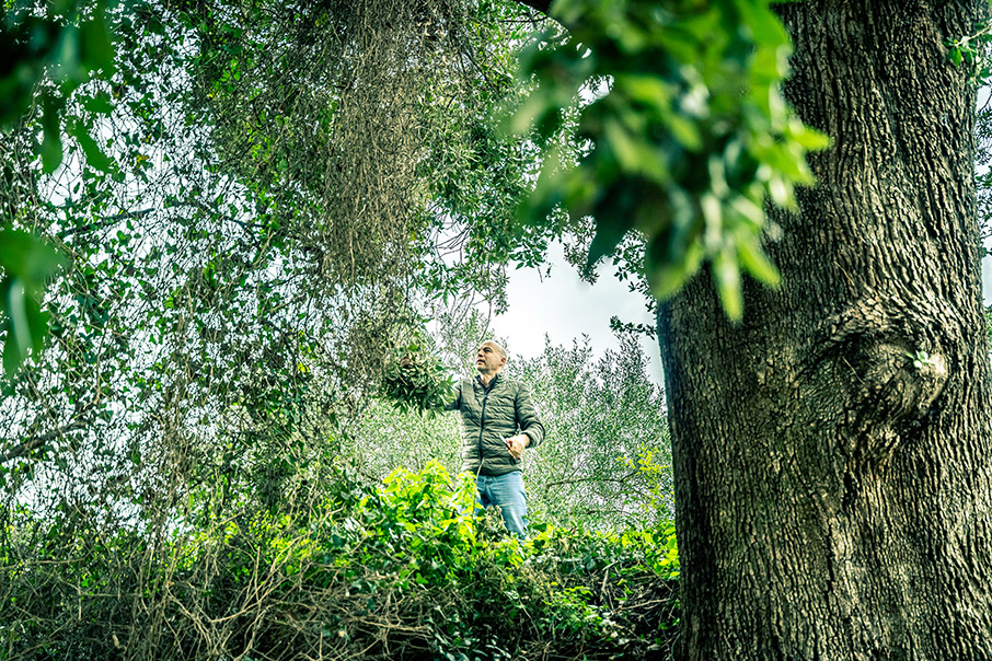 Institouto Politismou Messinias – www.stemajourneys.com Institouto Politismou Messinias – www.stemajourneys.com