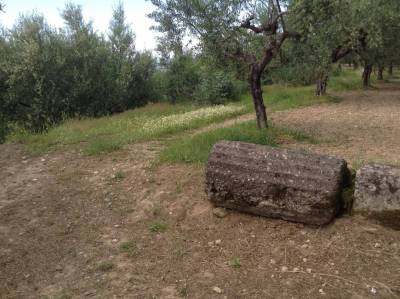Τα μνημεία πεθαίνουν στην κρατική αγκαλιά
