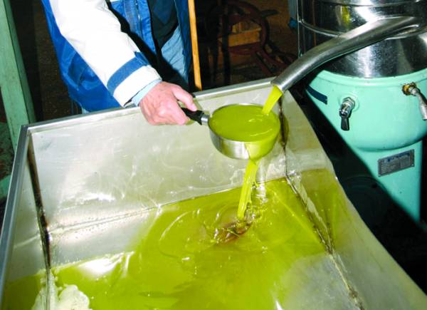 Αισιοδοξία για καλή χρονιά στο ελαιόλαδο