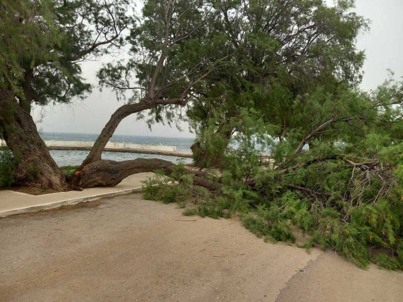 Προβλήματα από την κακοκαιρία στην Τριφυλία (φωτογραφίες)