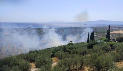 Πυρκαγιά στο δρόμο για το Ελαιοχώρι