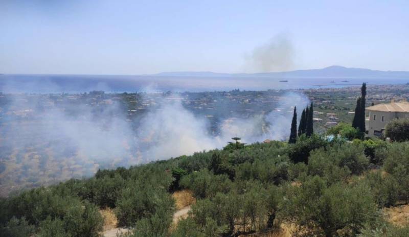 Πυρκαγιά στο δρόμο για το Ελαιοχώρι