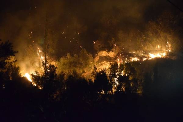 Μεσσηνία: Το χρονικό της πυρκαγιάς στην Άνθεια (βίντεο)