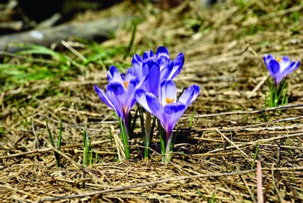 Ποιοτικός τουρισμός ή αρπαχτές και επιδοτήσεις;
