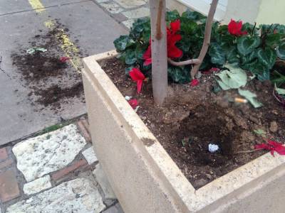 Βάνδαλοι στο Ιστορικό Κέντρο