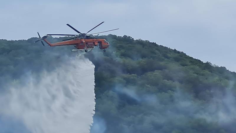Μεσσηνία: 30 στρέμματα έκαψε η φωτιά στο Πανιπέρι (βίντεο)