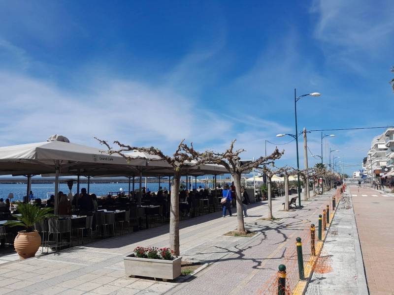 Ξυλοφάγο έντομο καταστρέφει τις μουριές στη Ναυαρίνου