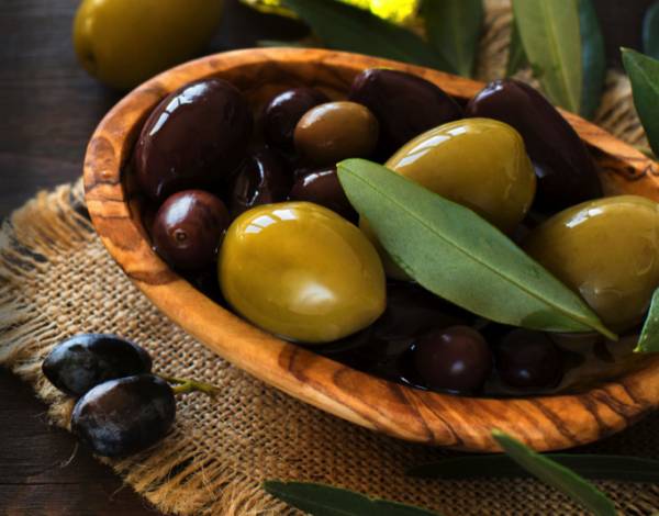 Ερώτηση Γρηγοράκου για τις ελιές Καλαμάτας