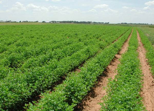 Με απογραφή της γης η επιδότηση του 2015