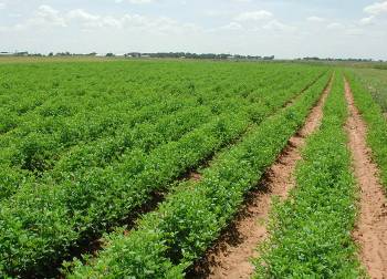 Με απογραφή της γης η επιδότηση του 2015