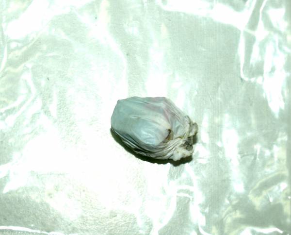 Κλοπές, ναρκωτικά και χρέη σε αστυνομική επιχείρηση στην Λακωνία - 20 συλλήψεις