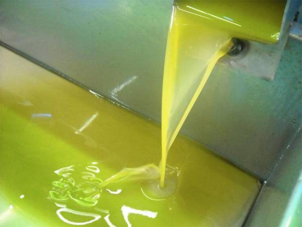 Συλλογή υπογραφών για ΠΟΠ "Ελιά Καλαμάτας"