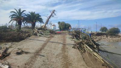 Μεσσηνία: Σημαντικές ζημιές από κακοκαιρία στην Τριφυλία (βίντεο-φωτογραφίες)