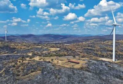 Αναστέλλεται για ένα έτος η τοποθέτηση ανεμογεννητριών στα καμένα του Έβρου