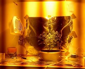 56 άτομα στη δικογραφία για διακινηση ναρκωτικών στην Αρκαδία