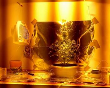 56 άτομα στη δικογραφία για διακινηση ναρκωτικών στην Αρκαδία