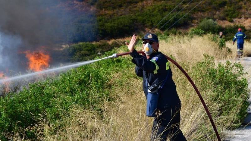 Πυρκαγιά σε αγροτοδασική έκταση στην Αρκαδία