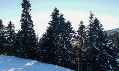 Έπεσαν τα πρώτα χιόνια στα ορεινά της Ηπείρου
