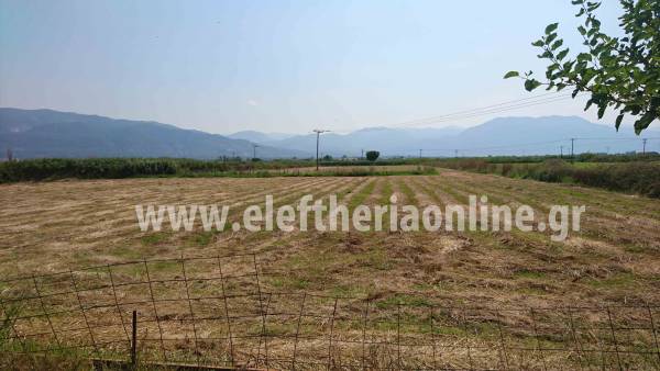 Αυτό είναι το οικόπεδο, που θα γίνει το hot spot στη Μεσσήνη (βίντεο)