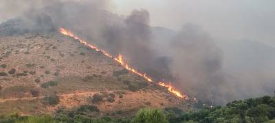 Μεσσηνία: Κάηκαν 500 στρέμματα στη Μεταμόρφωση
