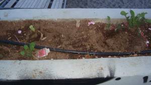 Επί τάπητος: Τραπεζοκαθίσματα και «ελληνικό καλοκαίρι»