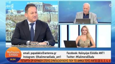 Πέτσας: Οι εκλογές θα γίνουν στην ώρα τους (Βίντεο)