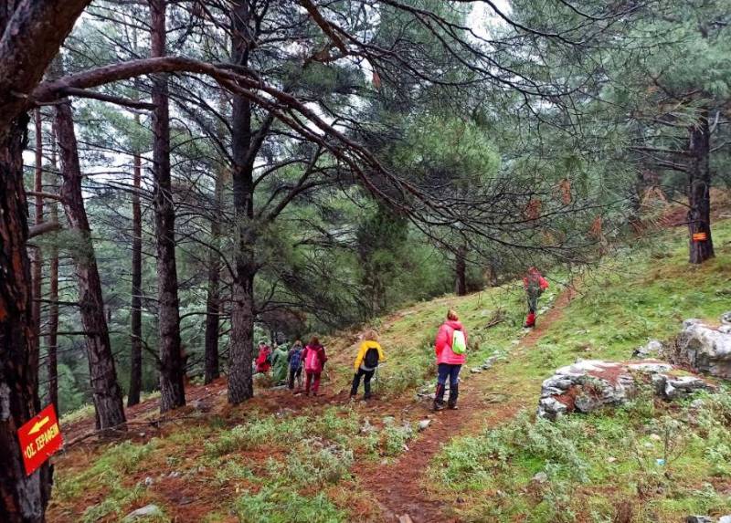 Νέες δράσεις του “Ευκλή”