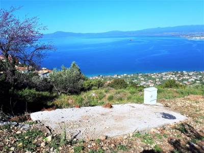 Πρωτοβουλία κατοίκων Βέργας – Καλαμάτας για την οικολογία, το περιβάλλον και τον πολιτισμό