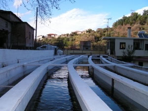 Γιάννης Γεροντίδης "G-Fish": Με βάση το Καστόρι, δυναμικά στην αγορά γκουρμέ