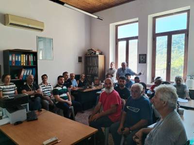 Κρούσματα άνθρακα σε βοοειδή στην Τριφυλία!