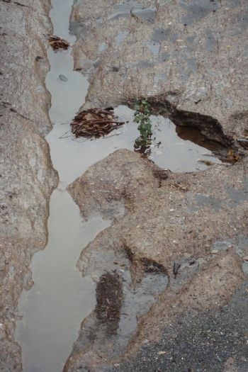 Οι πληγές του Νέδοντα