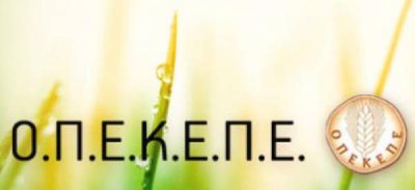 Πρόγραμμα απασχόλησης 445 ανέργων γεωτεχνικών, τοπογράφων μηχανικών και οικονομολόγων στον ΟΠΕΚΕΠΕ