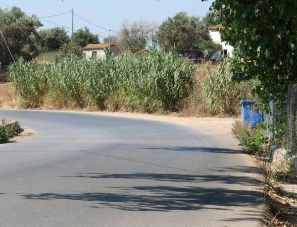 Θα καταφέρουν να κόψουν τα βάτα;