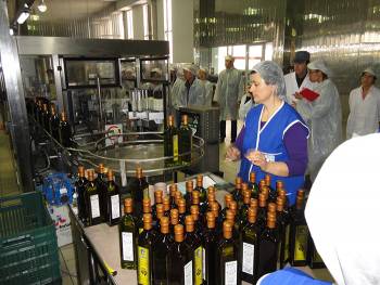 Εκδηλώσεις Ιδρυμάτων Καπ. Βασίλη και Καρέλια: Ευκαιρίες εξαγωγών για τοπικά προϊόντα