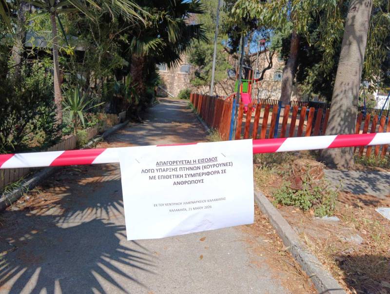 Καλαμάτα: Κουρούνες επιτίθενται σε ανθρώπους στο Πάρκο Λιμενικού! (βίντεο)