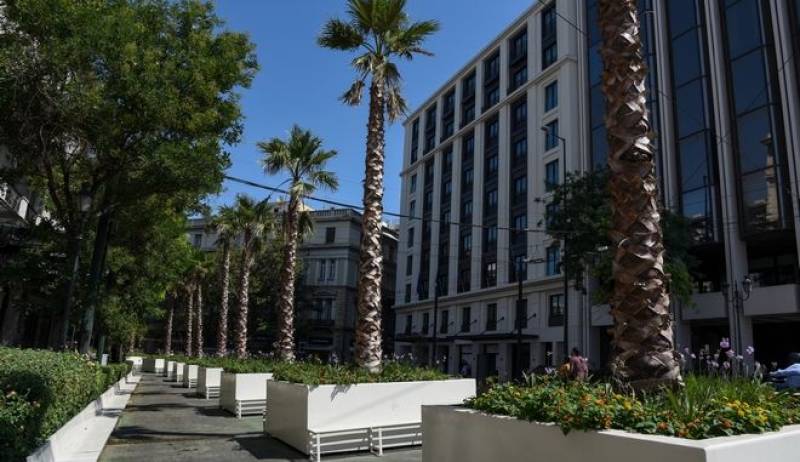 Μεγάλος Περίπατος: "Ξηλώνονται" οι φοίνικες από την Πανεπιστημίου (βίντεο)