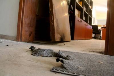 Συνελήφθη ο... βομβιστής του λογιστικού γραφείου στο Ναύπλιο