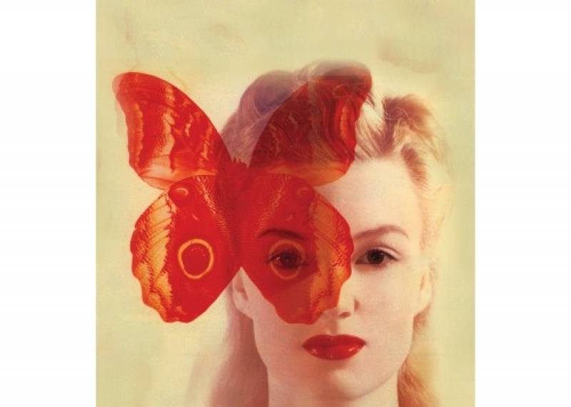 Ρόζα Ζάουερ: Στο τραπέζι του λύκου Ι Εκδόσεις Ελληνικά Γράμματα