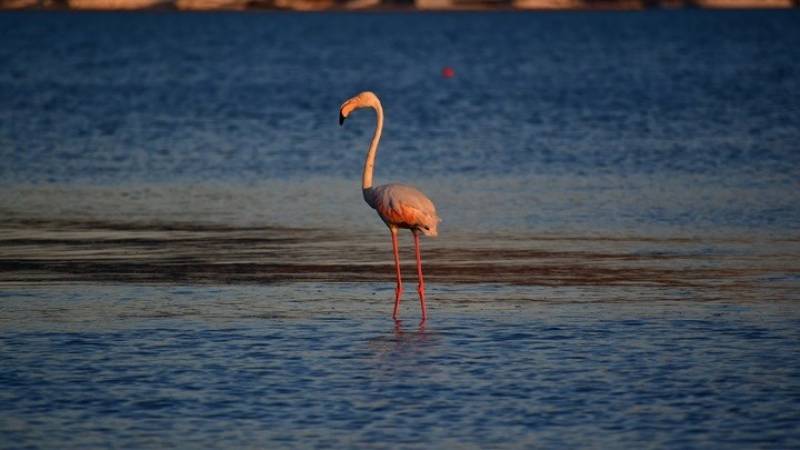 Ηλιοφάνεια την Πέμπτη με λίγες νεφώσεις, τοπικές βροχές και θερμοκρασία σε μικρή πτώση