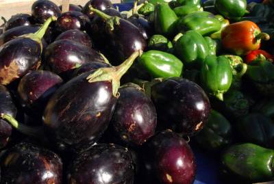 Εξαγωγικό κέντρο και για κηπευτικά η Τριφυλία