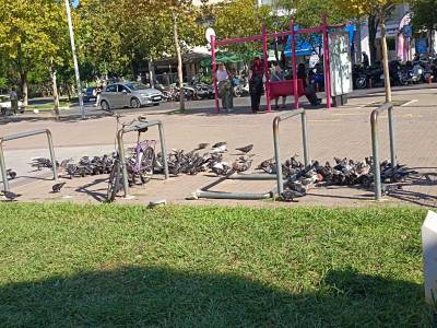 Απαραίτητη η συντήρηση...