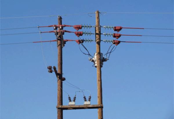 Αγροτικός Σύλλογος Φιλιατρών: "Επικίνδυνο το δίκτυο της ΔΕΗ"