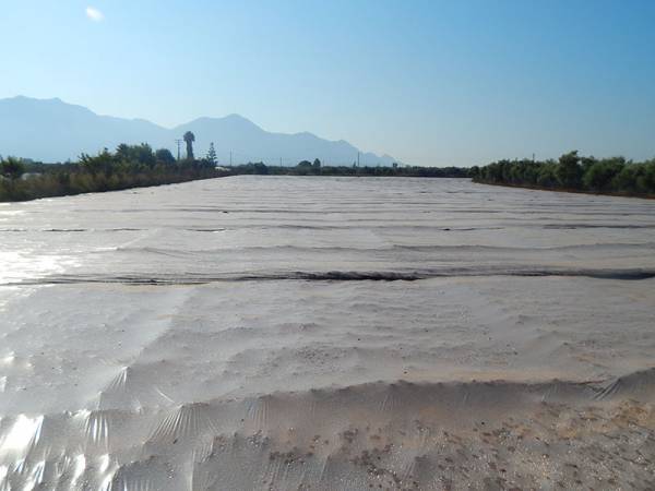 Ηλιοαπολύμανση των χωραφιών της Τριφυλίας