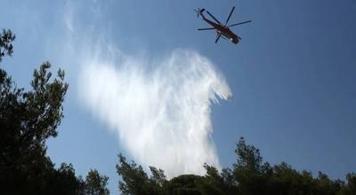 Σε εξέλιξη φωτιές σε Σάμο και Τέμπη - Έχουν κινητοποιηθεί επίγειες και εναέριες δυνάμεις