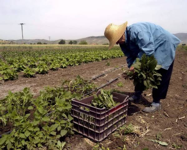 Ευρωπαϊκοί φόροι για αφρικανικές υπηρεσίες