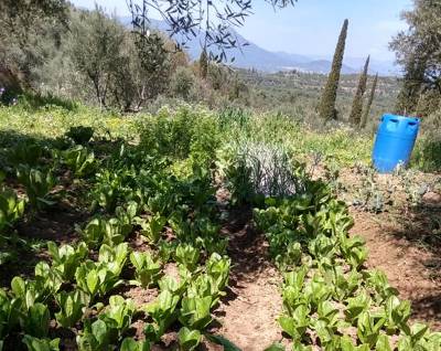 Επιβραβεύουν την παραοικονομία στον αγροτικό τομέα