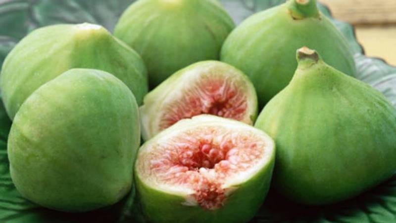 Το γερασμένο σύστημα δεν μπορεί να αναδιαρθρωθεί