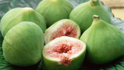 Το γερασμένο σύστημα δεν μπορεί να αναδιαρθρωθεί