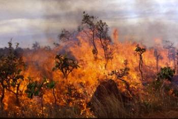 Φωτιά στον Αγιο Νικόλαο Μουζακίου