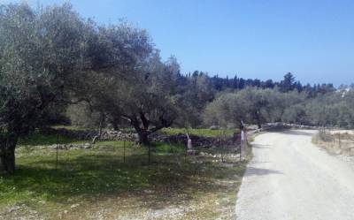 Να σταματήσουμε να λειτουργούμε στο... περίπου